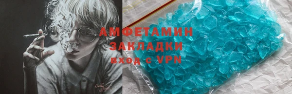 прущие грибы Елабуга