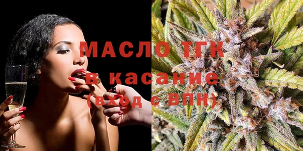 прущие грибы Елабуга