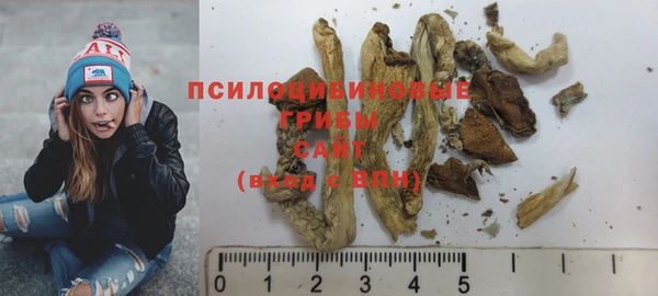 метадон Ельня