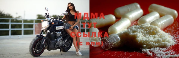 прущие грибы Елабуга