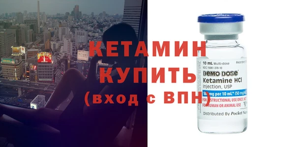 прущие грибы Елабуга
