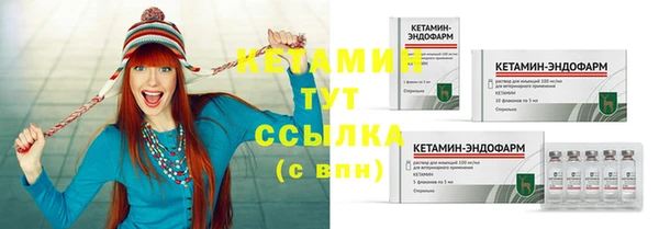 прущие грибы Елабуга