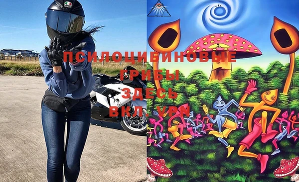 mdma Елизово