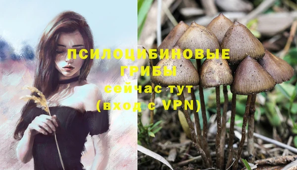 эйфоретик Дмитриев