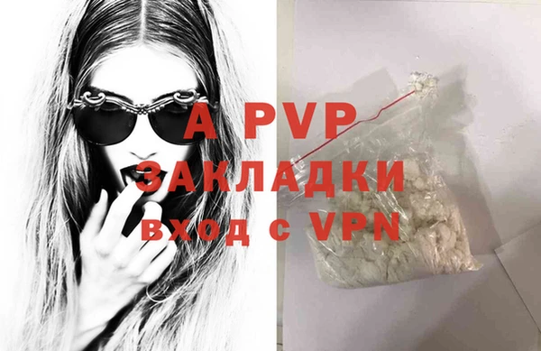 прущие грибы Елабуга