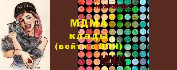 прущие грибы Елабуга