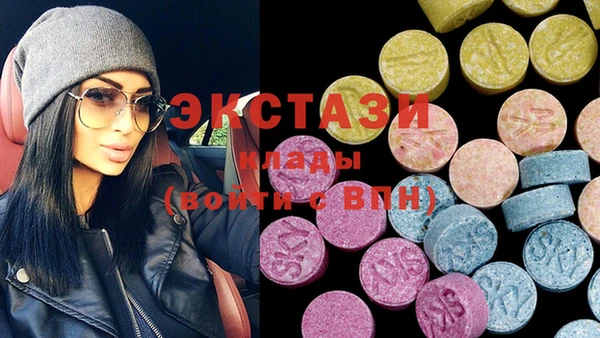 прущие грибы Елабуга