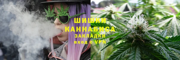 эйфоретик Дмитриев