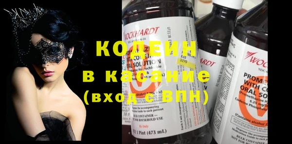 прущие грибы Елабуга