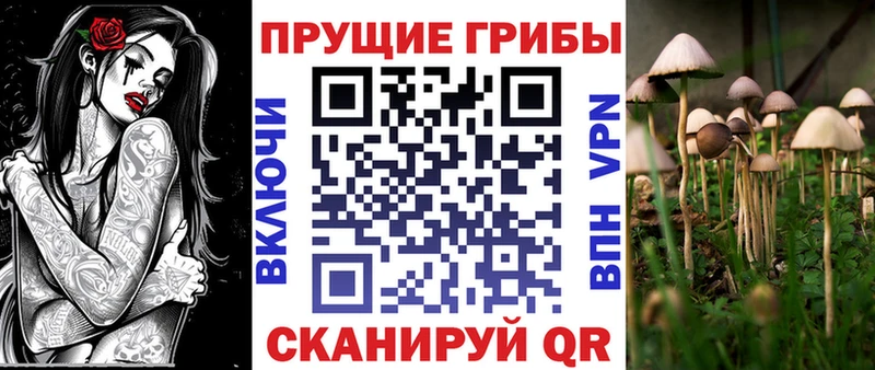 Псилоцибиновые грибы мухоморы  Купить где  Павловск 